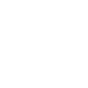 TVIP S-Box